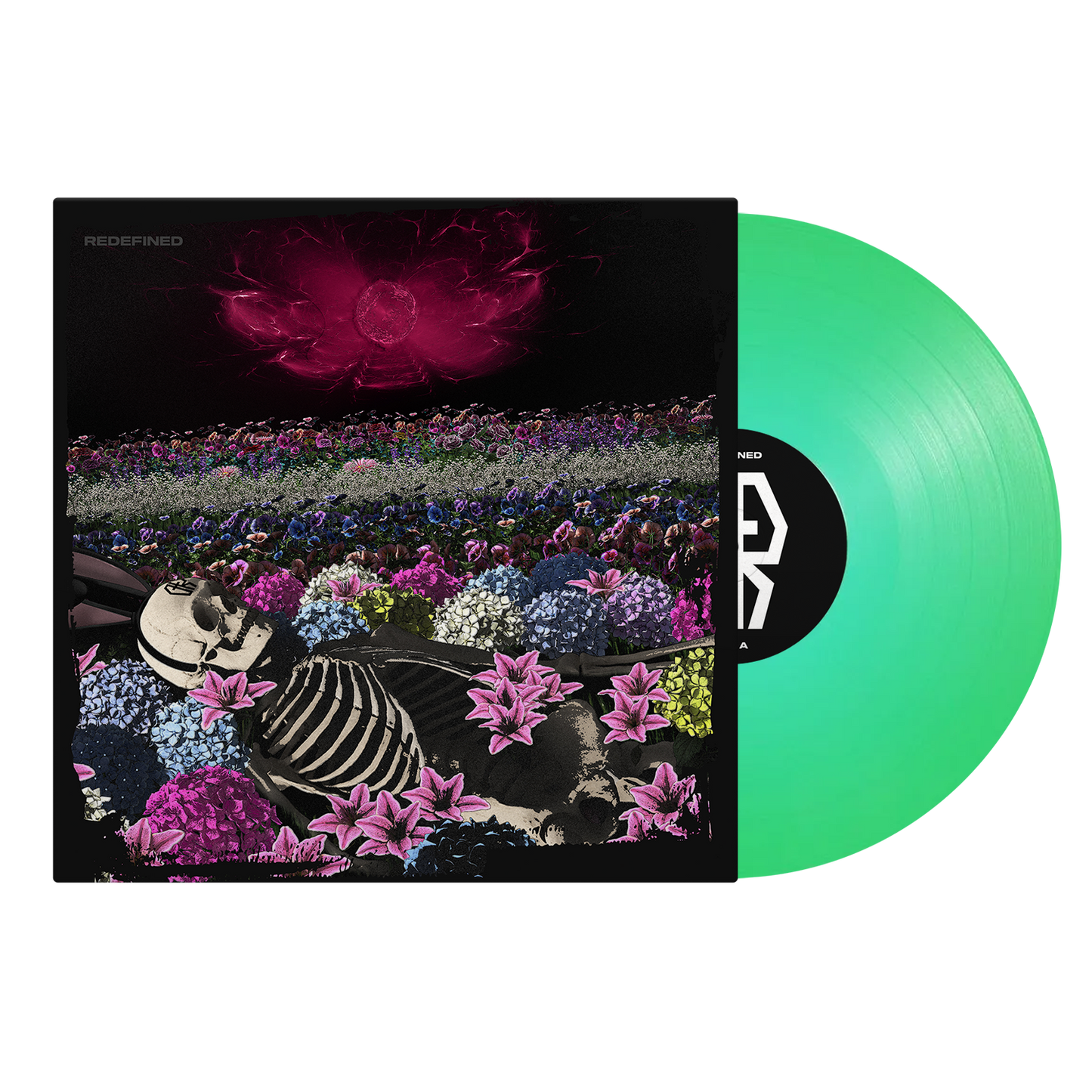 The Collectors Rabundle